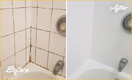 Before and After Picture of a Vancouver Shower Tile and Grout Cleaned to Eliminate Mold