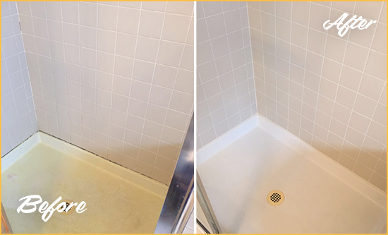 Before and After Picture of a Heisson Shower Sealed to Remove and Protect Against Mold