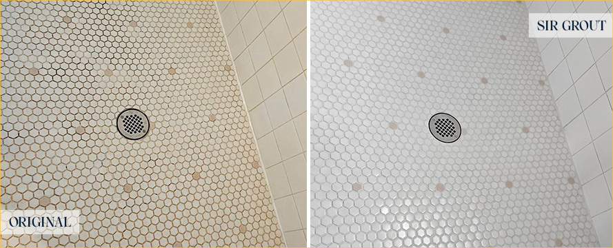 Shower Floor Before and After an Excellent Grout Cleaning in Portland, OR